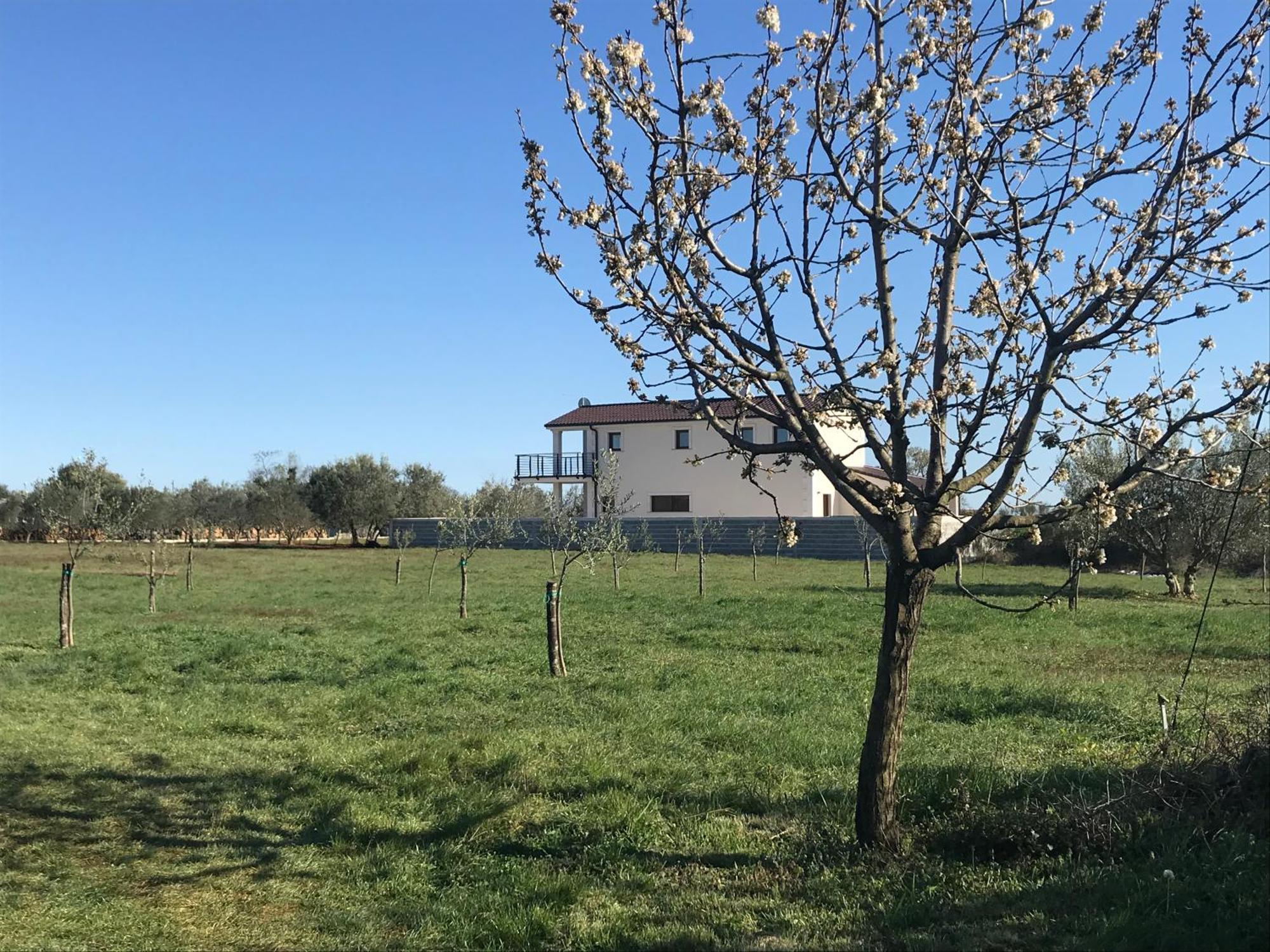 Marčana Villa Lydia מראה חיצוני תמונה